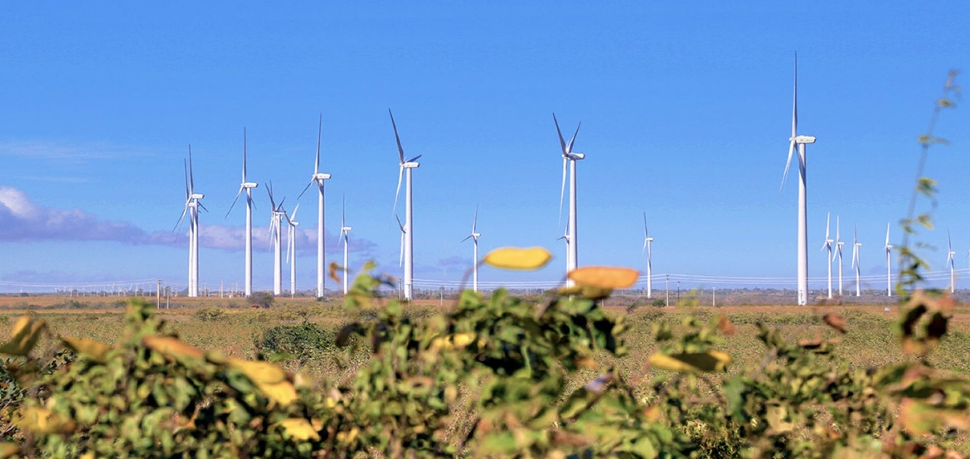 Com 60 Parques Em Operação Piauí é Terceiro Maior Gerador De Energia